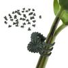 20/40/100Pcs Plant Clip Orchid Clip Plant Orchid Support Clip Flowers and Vine Clip for Support Stem Vine Growing