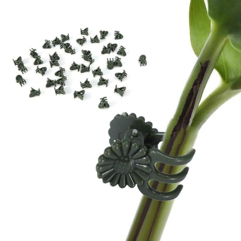 20/40/100Pcs Plant Clip Orchid Clip Plant Orchid Support Clip Flowers and Vine Clip for Support Stem Vine Growing