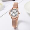 Light Luxury Fashion Temperament Round Dial Simple Digital Scale Stainless Steel Mesh Belt Waterproof Quartz Watch
