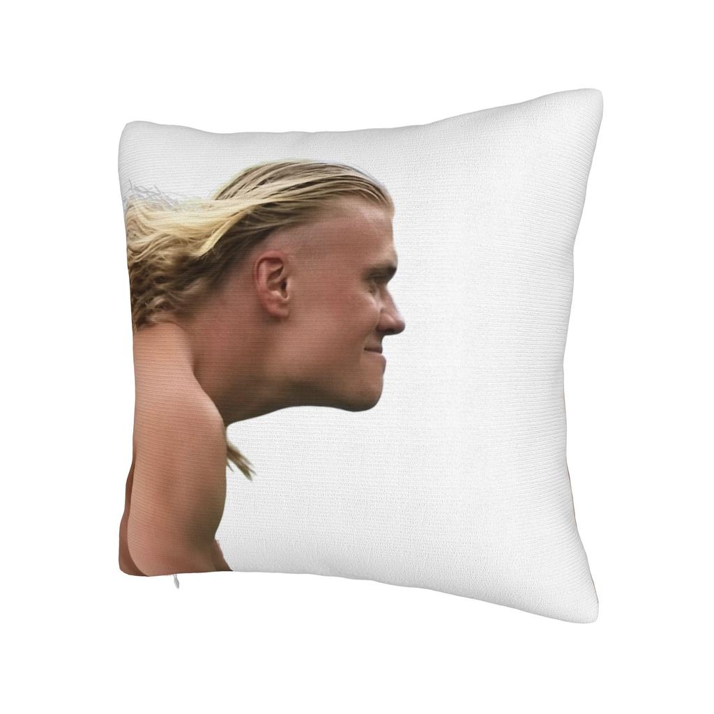 Haalands Meme Pillowcase Printing Cushion Cover Decoration Throw Pillow Case Cover Home Zipper