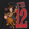 Toy Story Childrens/Kids IÂ´m 12 Woody Birthday Sweatshirt