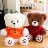Polo Shirt Bear Doll Plush Toy Cute Teddy Bear Doll Graduation Gift