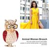 Spectacles Owl Brooch Alloy Rhinestone Cute Animal Brooch for Women Girls Festival Jewelry Gift