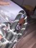 Reflective training leash FOR DOGS, strong handle