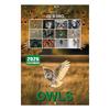 Owl Themed Perpetual Calendar – Reusable Wooden Flip Calendar Desk Ornament