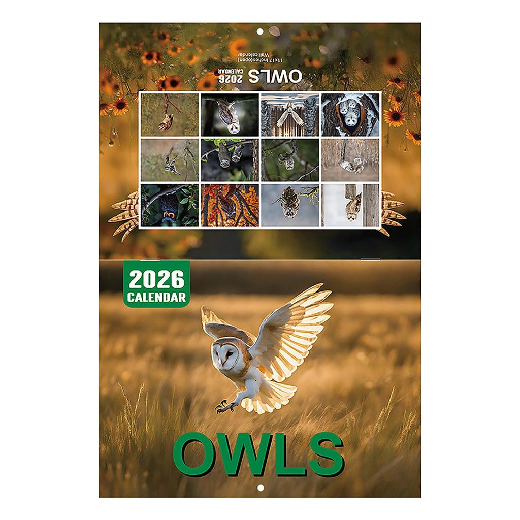 Owl Themed Perpetual Calendar – Reusable Wooden Flip Calendar Desk Ornament