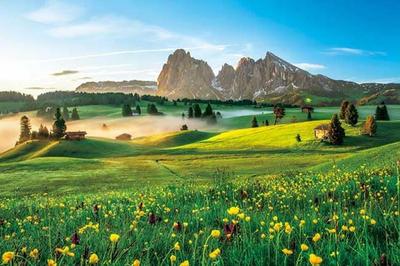 APPLEONE 1000-876 Morgen auf der Hochebene, Dolomiten (Italien), 1000-Teile Puzzle (75 x 50 cm), Hergestellt in Japan