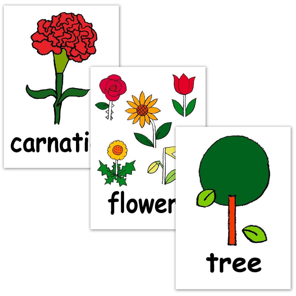 English word cards Flashcards, (Plants) B5 size