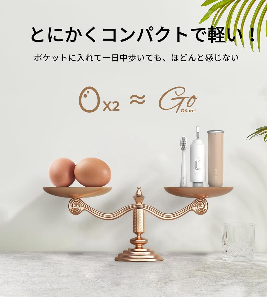 Epeios Sonic Electric Carrying Replacement Brush Perfect for GO Toothbrush, Portable, Case, Heads, 60-Day Use, Type-C Rechargeable, Travel, Gift,