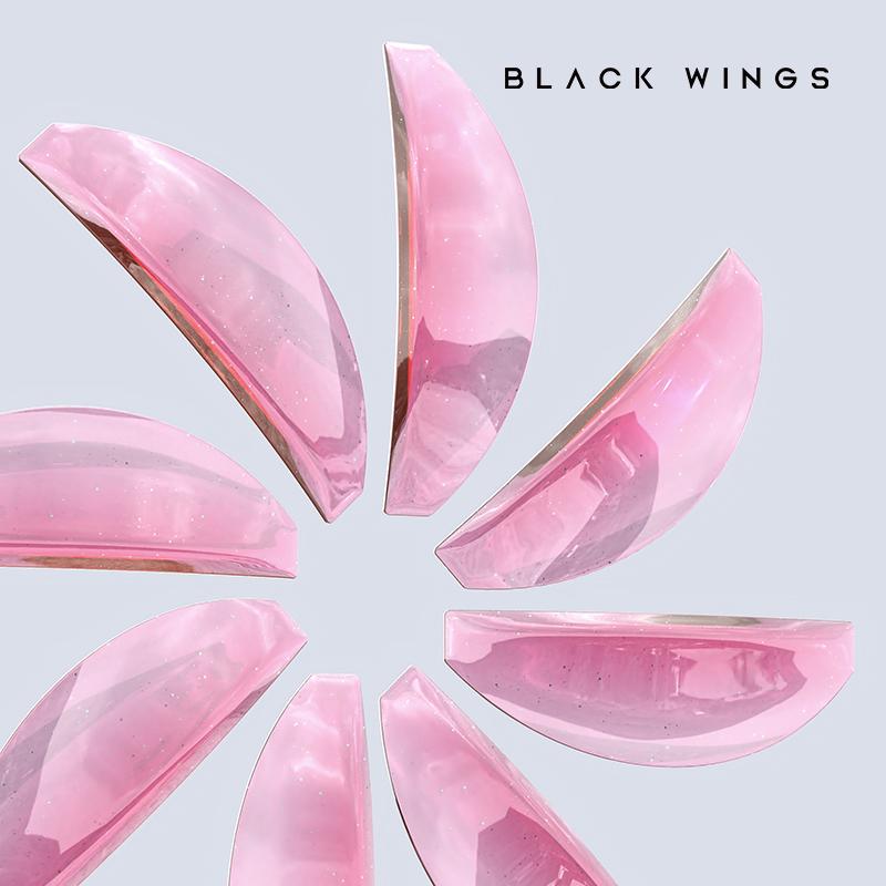 BLACKWINGS 1 Pair Eyelash Perm Silicone Pads, Curling Pads for Lash Lift, with Size Guide Chart, Hypoallergenic Reusable Accessories