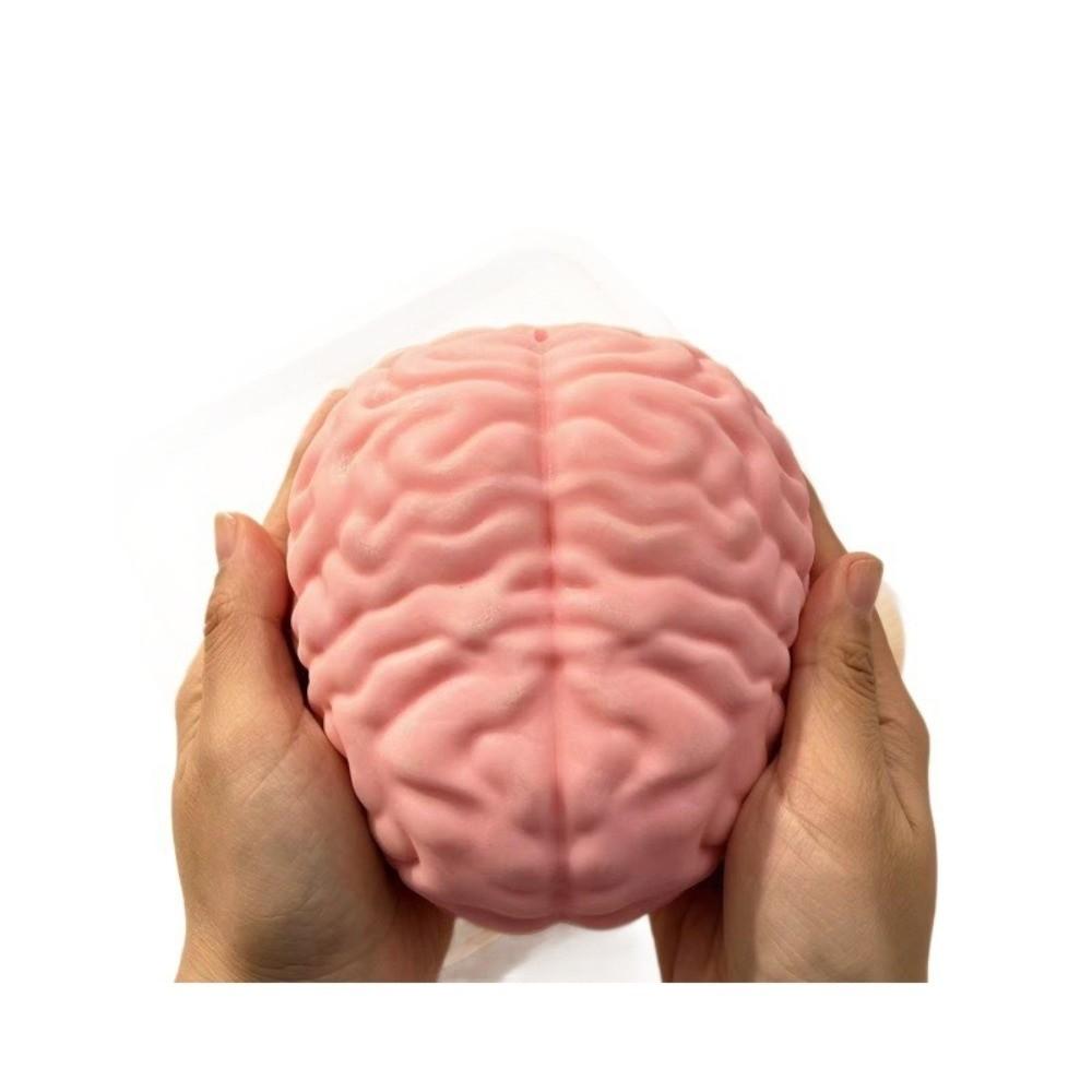 Slow Rising Brain Squishy Toy Simulated Big Brain Model Stress Ball Fidget Toy  Prank Gag Gifts