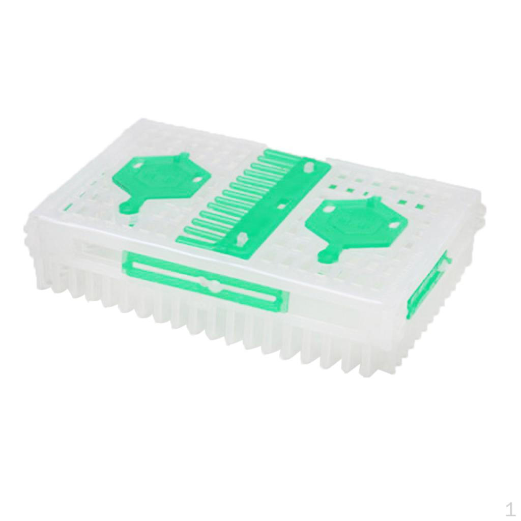 Beekeepers white color green Needle Isolator Cage Double Cages Design