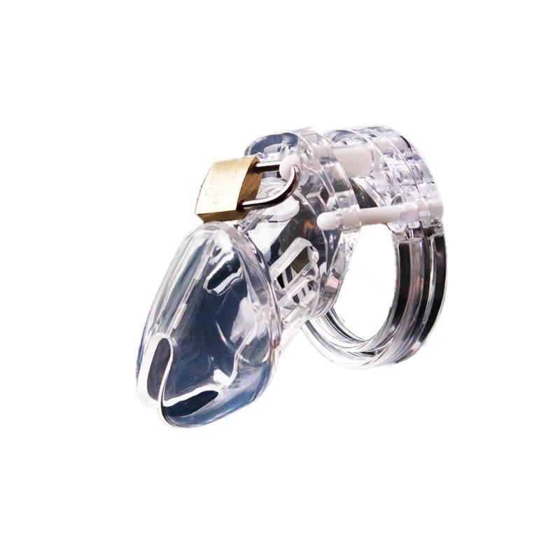 2026 New Model Chastity Cage: Sissy Chastity Lock—A Valentine's Day Gift for Adult Couples and Partners