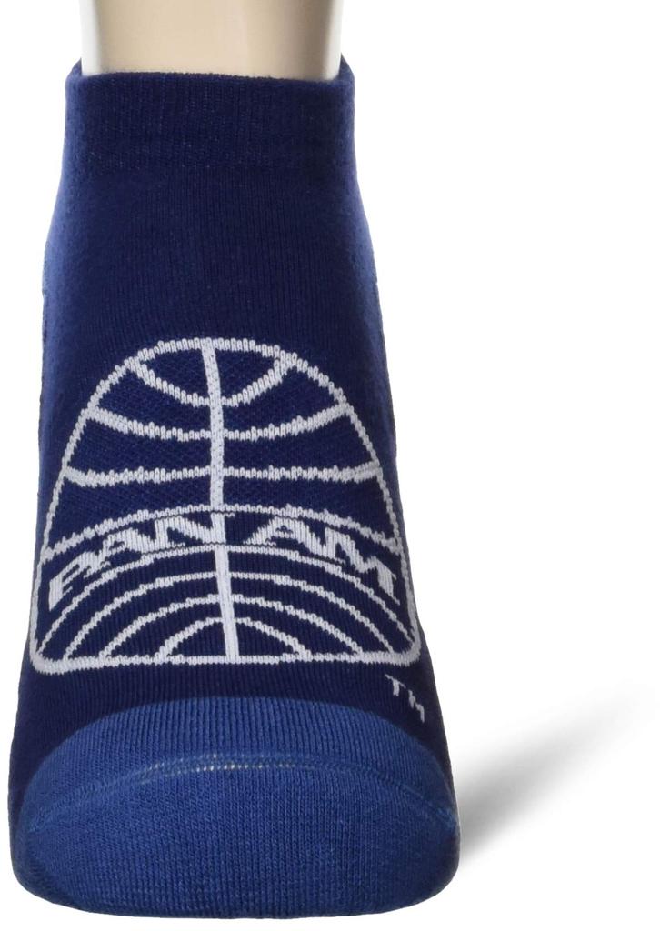 Outdoor Travel Walking Wear Travel Flight Socks B2JX0050 Patriot Blue cm [Mizuno] & (PANAM) 25.0-27.0