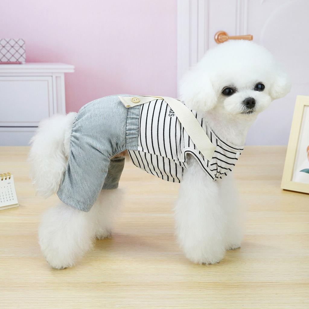 korean dog clothes