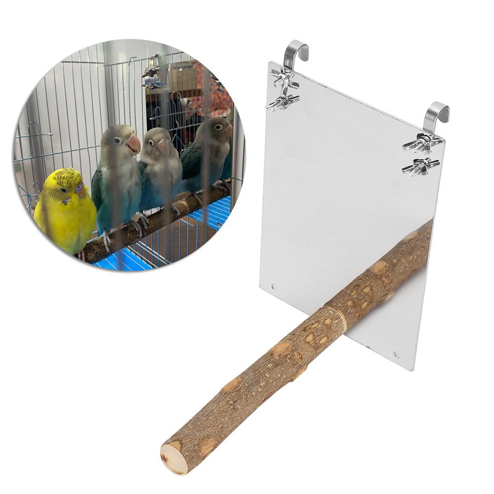 Stainless Steel Medium Small Parrots Mirror with Wooden Standing Rod Bird Cage Accessory