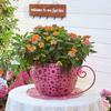 Vintage Teacup Planter Iron Floral Cutout Flowerpot Decorative Plant Pot for Succulents Herbs Flowers Indoor Outdoor Garden Decor