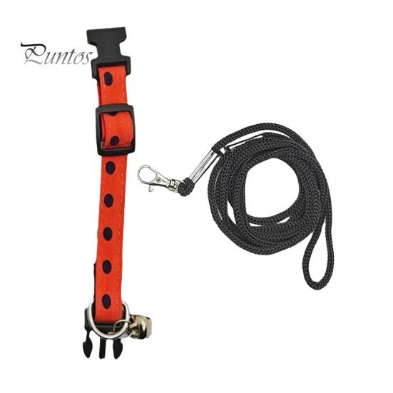 

1 комплект поводка для ящерицы, регулируемая тяговая веревка и ошейник для рептилий, прочный удобный поводок для домашних животных для приключений на свежем воздухе S оранжевый