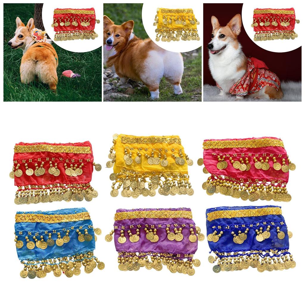 Puppy Hip Shaking Dance Clothes Decoration Sequin Elegant Dog Costume Cute Summer Dress for Pet Events and Outings