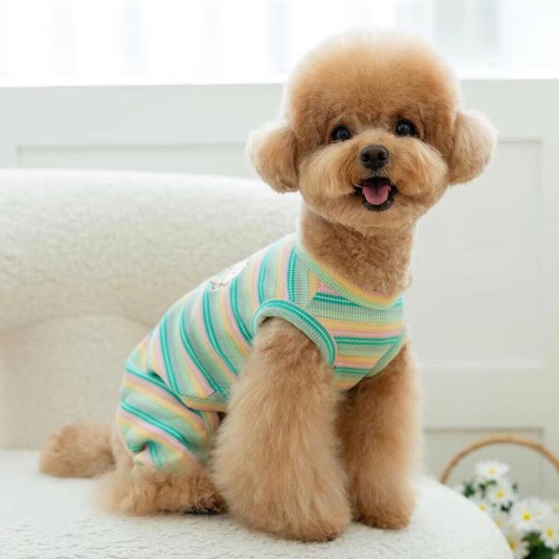 Belly Protection Small Dog Clothes Autumn Winter Teddy Bichon Pomeranian Cat Small Dog Pet Four-Legged Winter Belly Wrap