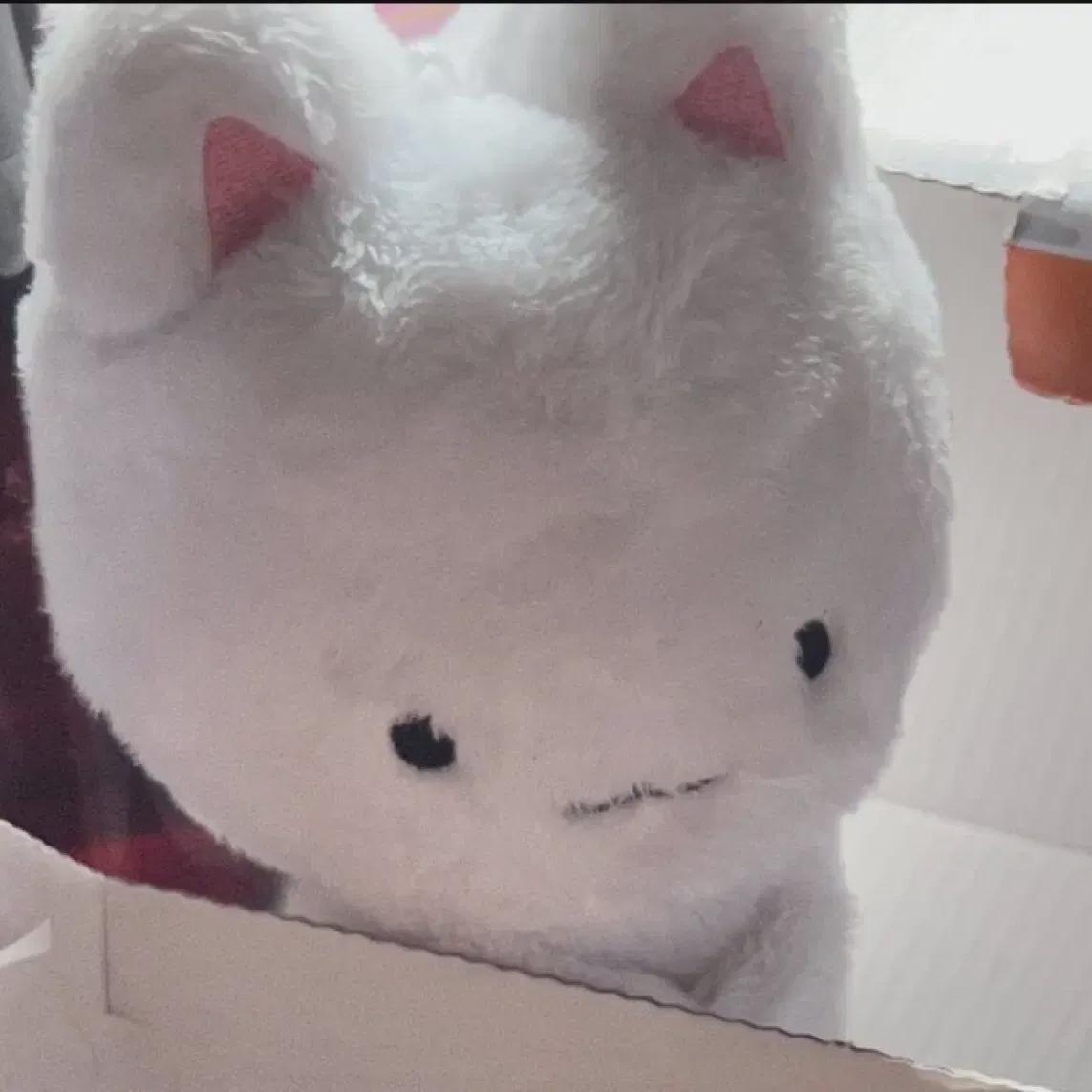 

Кукла Джуёна из Theboyz Zutolyi в продаже