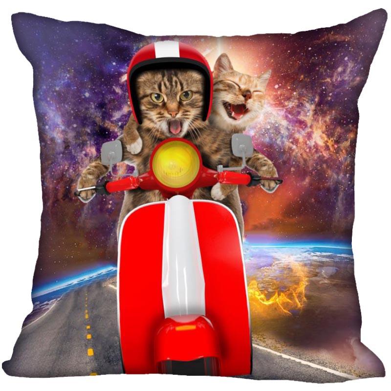 Bedroom Home Office Decor Pillowcase Square  Funny Cat Animal