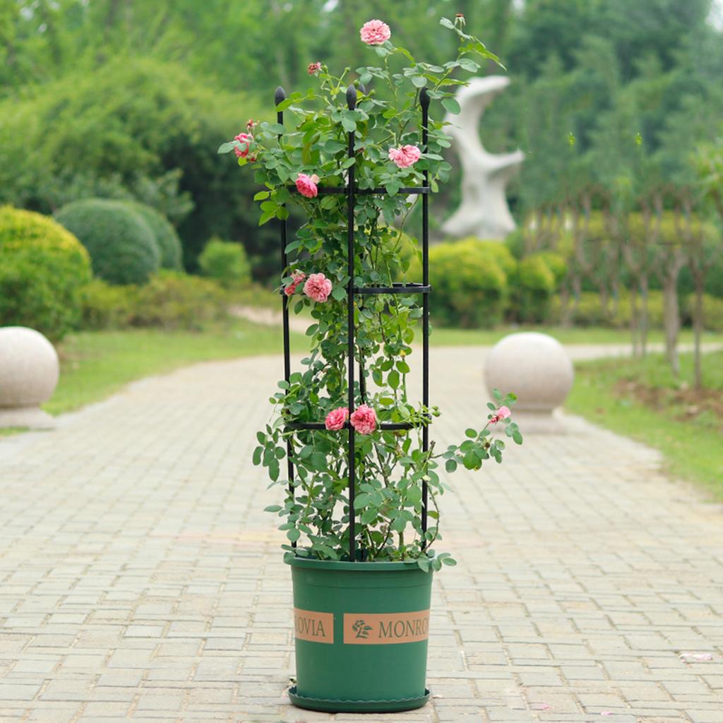 Climbing Frame for Potted Plants Metal Garden Plants Climbing Frame for Houseplants Flower Plant Support