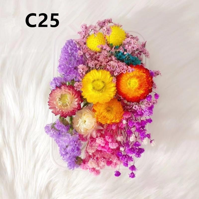 Kit DIY Fleur Éternelle: Cadre photo de fleurs séchées, éventail rond, bouteille flottante, composition florale réelle pour la décoration du salon ou de la maternelle.