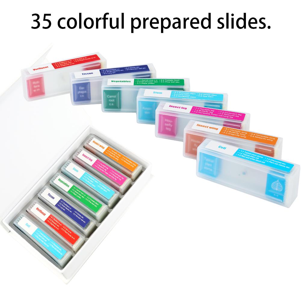 Cigovd 35 Piece of Colorful Microscope Specimens Biological Specimen Slides Primary and Secondary Gifts Cigovd 35 Piece of Colorful Microscope Specimens Biological Specimen Slides Primary and Secondary Gifts