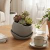 3D-gedruckte Sukkulenten-Pflanzgefäße Kunststoff-Anzuchttöpfe Moderner Dekorativer Topf Schreibtisch