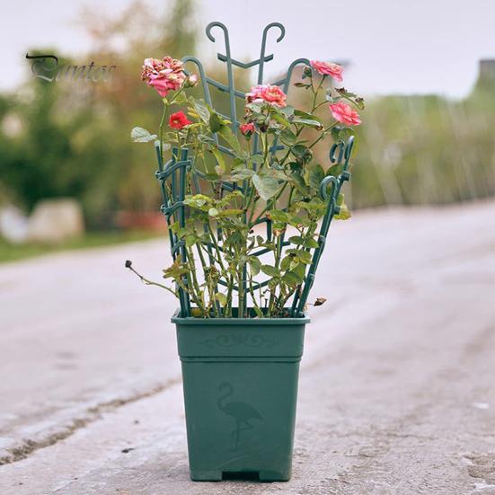 2 pezzi di rack per piante rampicanti impilabile per piante da giardino traliccio in plastica durevole mini piante in vaso supporto per arrampicata per interni ed esterni