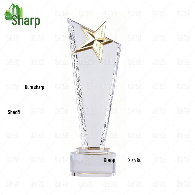 Xiaorui Custom Trophies and Souvenirs