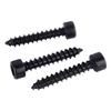 Grade 8.8 High Strength Black Hex Socket Self-Tapping Screw M2*M6 with Cylindrical Head