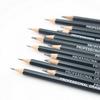 14Pcs Painting Pencils Professional Sketch Tool Portable 6H-12B Drawing Pencil Set for Sketching