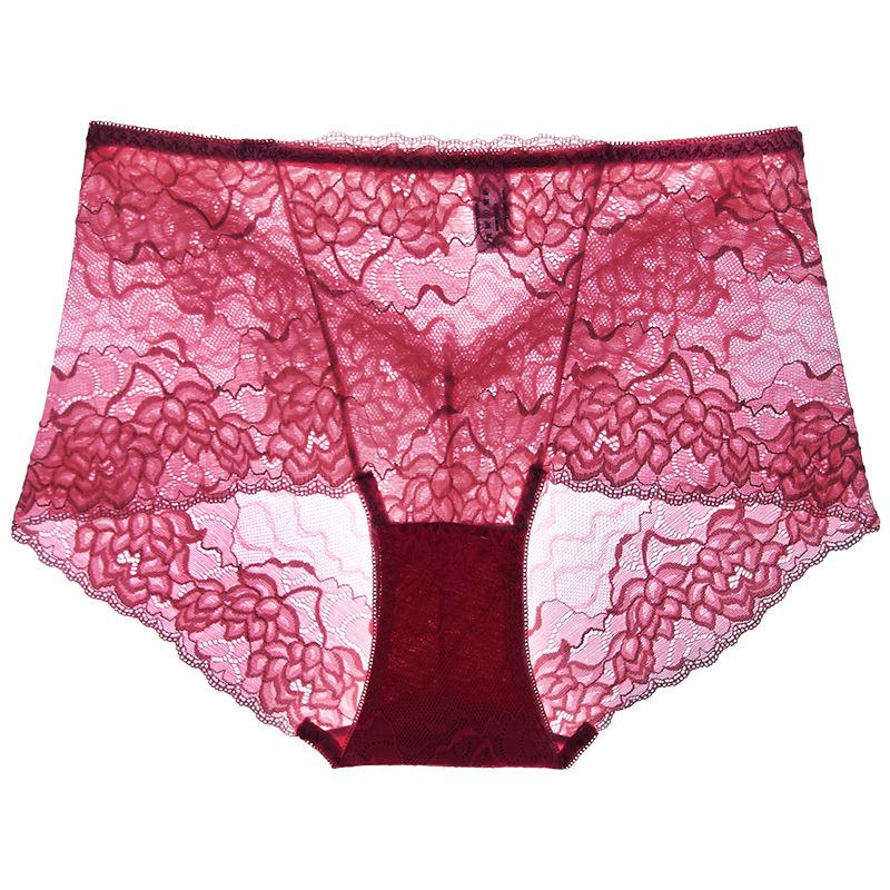 Women's High Waist Lace Boxer Briefs Sheer Mesh Sexy Underwear Breathable Multicolor Panties