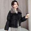 Winter Fashion Lapel Cotton Coat for Women Loose Short Down Cotton Jacket