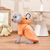 Sweat à capuche pour chien Orange Vêtements pour animaux de compagnie pour chiens de petite et moyenne taille Mignon Automne Hiver Chat Corgi Bouledogue Français Yorkie Sweat à capuche Vêtements Dessin Animé