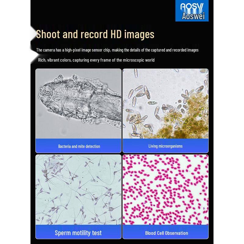AOSVI Student High Power Microscope
