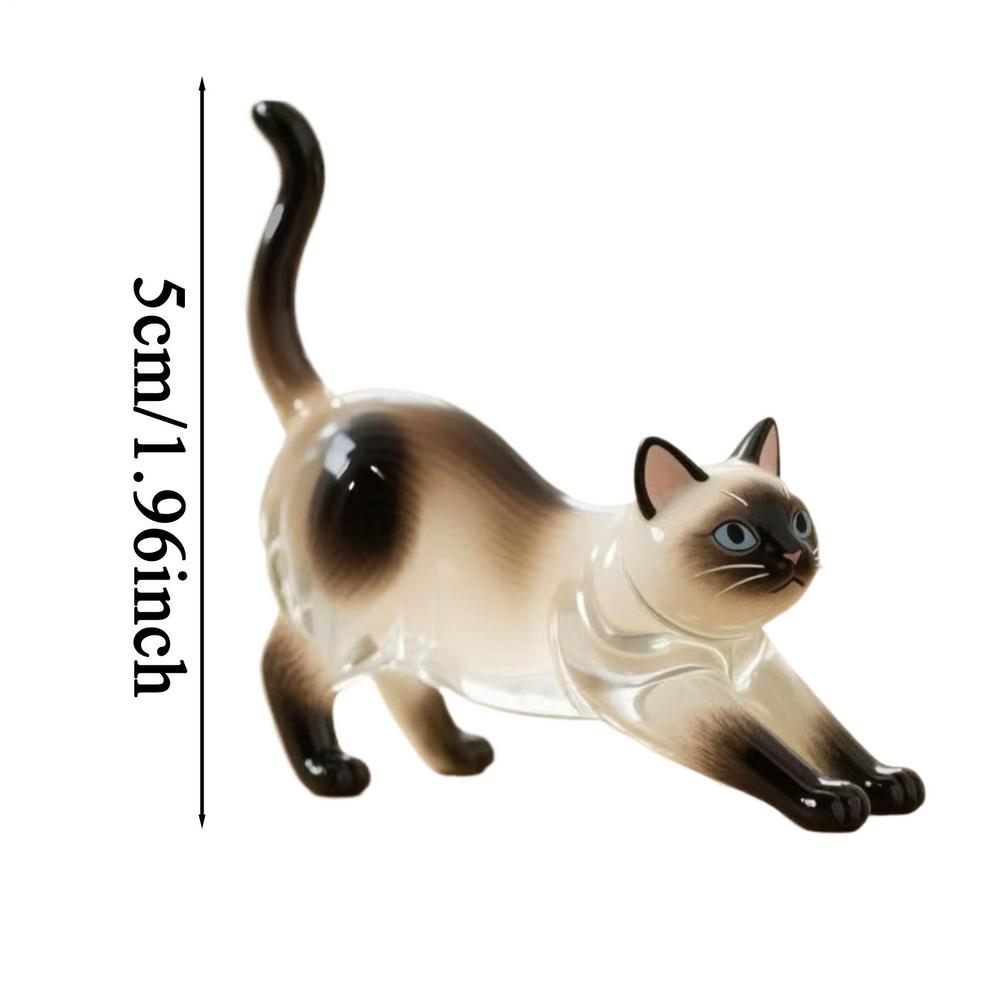Cute Cat Key Chain Cat Dog Keepsake Hair Keyring Acrylic Pendant Clear Memorial Keychains for Collection Backpack Purse Bag