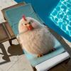 Cute Angry Chicken Pattern Polyester Microfiber Beach Towel Is Highly Absorbent, Suitable for Swimming and Beach Outings