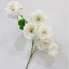 Artificial Peony Flower 6 Heads Blooms Faux Silk Peonies with Stem Fake Flower Branches for Vase Wedding Centerpieces Floral Arrangements