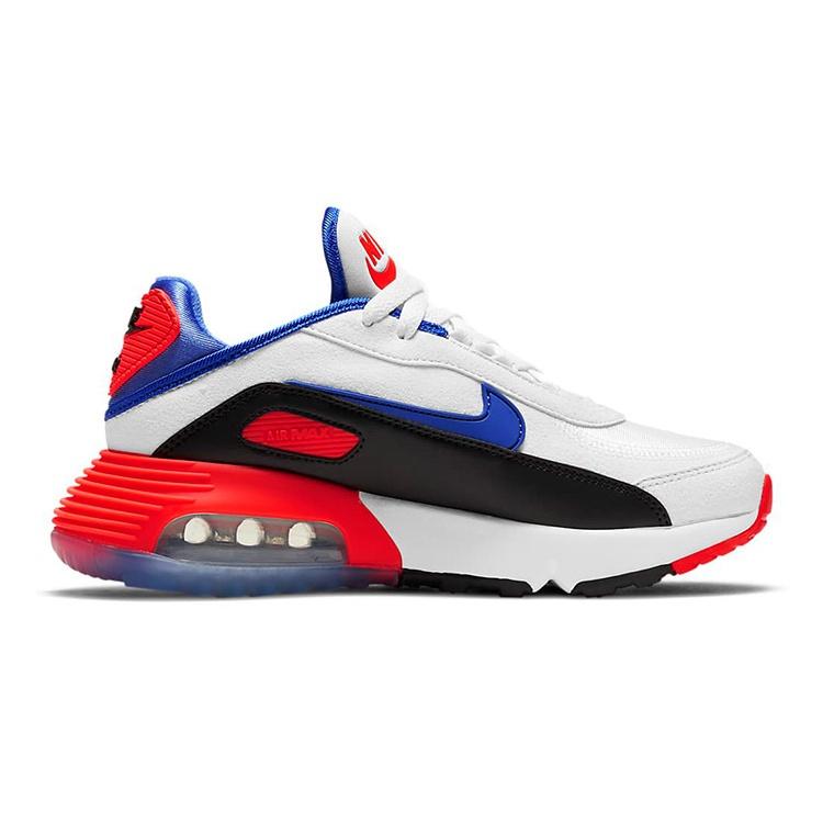(GS) Nike Air Max 2090 'Evolution of Icons' Kids' CW1650-100