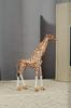 FJ FENGZHIJIE Giraffe Home Decor Trinket Jewelry with Animal Trinket Elegant Home Decor Unique Gift for Animal Lovers Figurine, Accent, Box, Box,