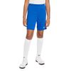 Nike Dri-Fit Park 3 Comfortable Fashion Simple Versatile Solid Color Shorts Kids Shorts Blue BV6865-463