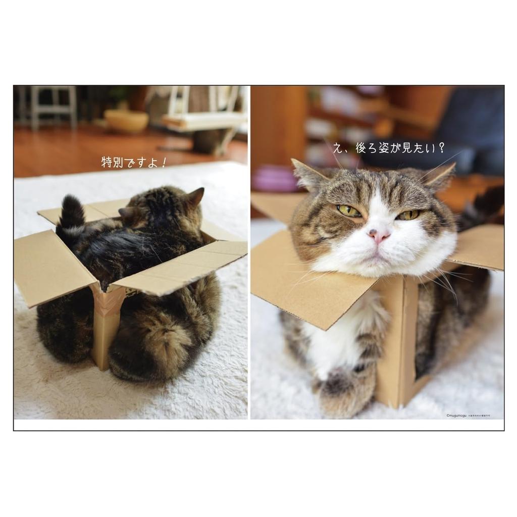 2026 Calendar Maru-chan