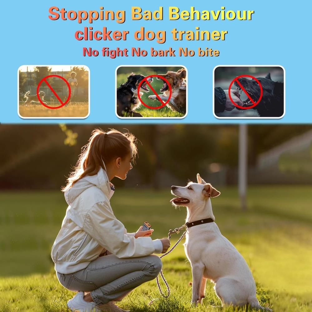 Anti Barking Device for Dogs Indoor Outside Handheld Ultrasonic  with Flashlight Dog Training Tool Rechargeable Dark Orange