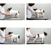 1pc Pet Supplies Dog Cat Massage Brush Comb Cleaner Puppy Hair Removal Scrub Cleaning Tool Soft Gentle Silicone Hair