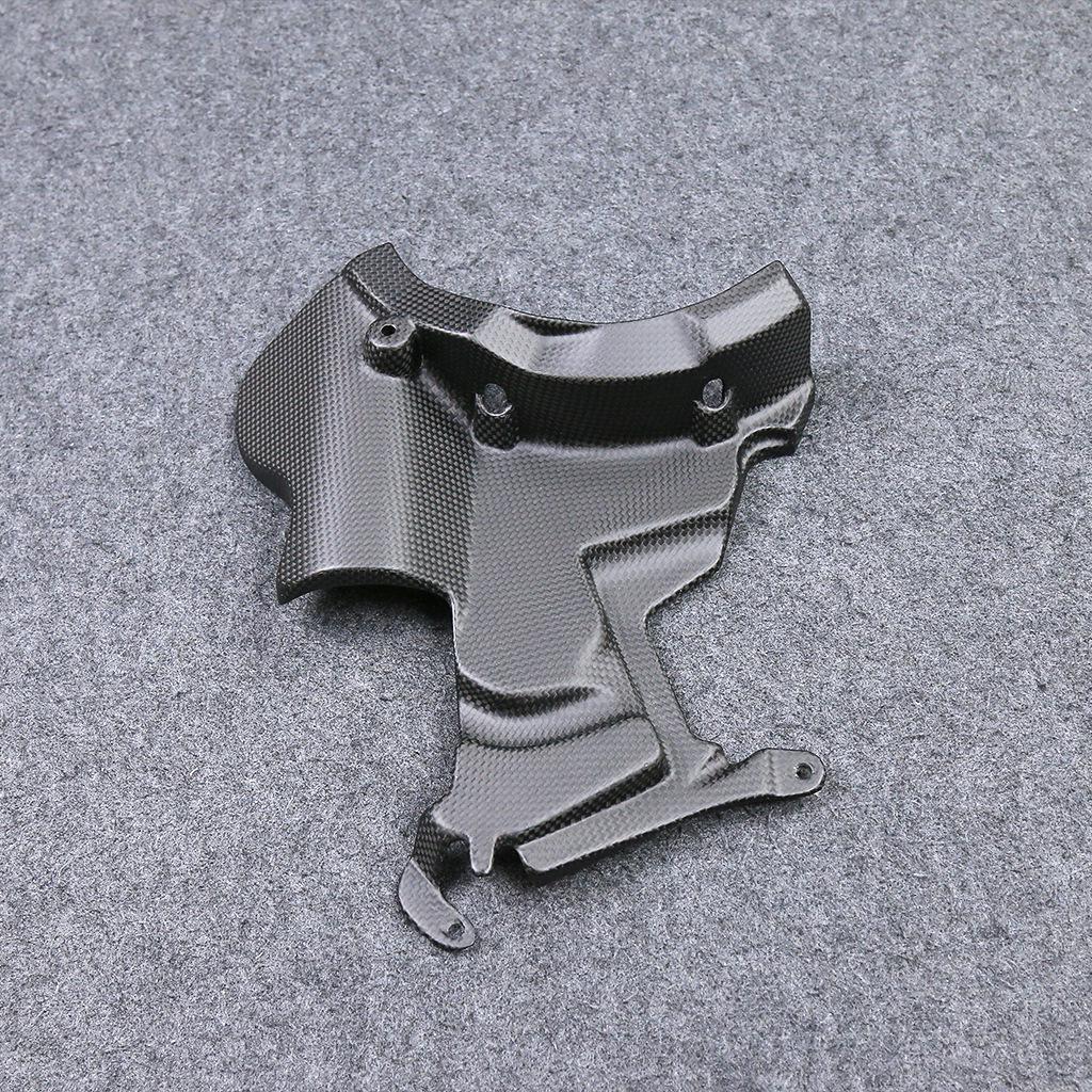 Ducati Streetfighter V2 Carbon Fiber Engine Cover