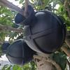 Propagation Ball Air Layering Pods Grafting Case For Fruit Tree Potting Substrate Care Indoor Gardening Aquaponics Hydroponics