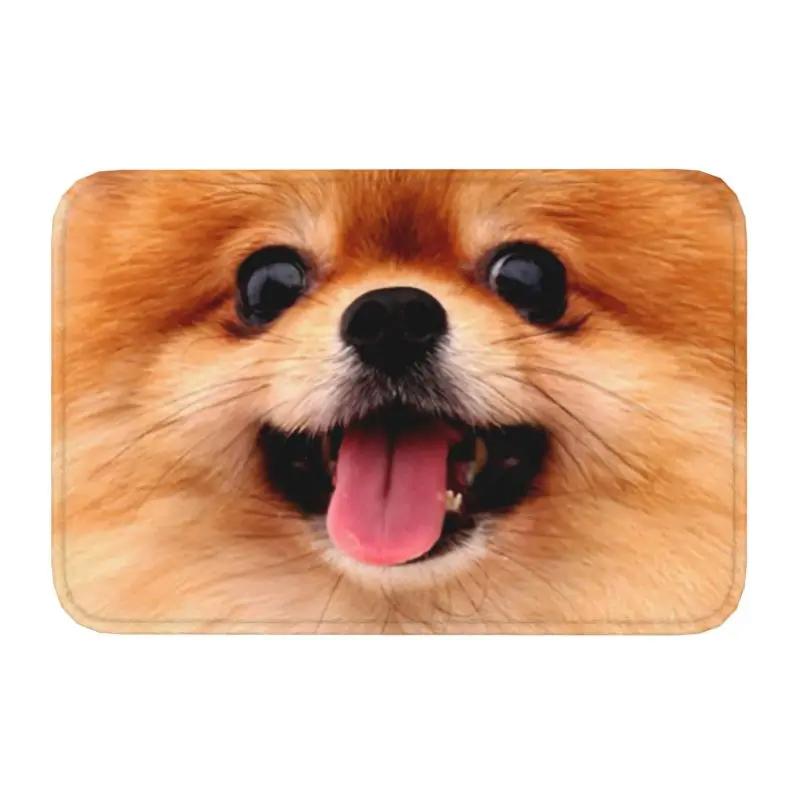 Pomeranian Dog With Summer Leaf Doormat Non-Slip Kitchen Bathroom Mat Garden Garage Floor Door Entrance Carpet Rug